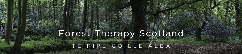 Forest Therapy Scotland Home Page